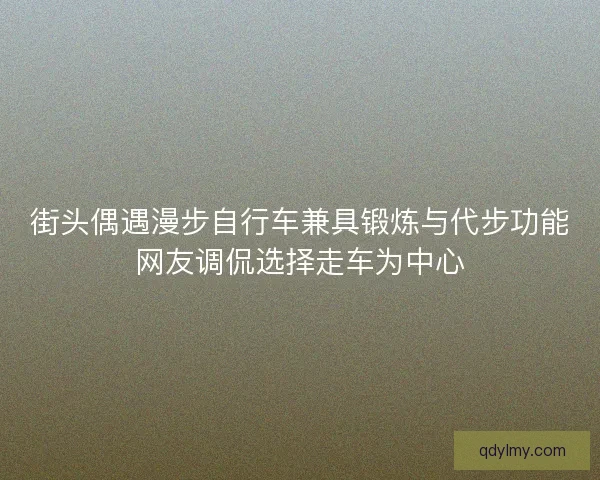 街头偶遇漫步自行车兼具锻炼与代步功能网友调侃选择走车为中心